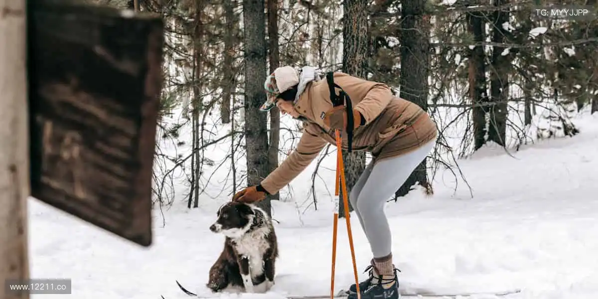 海棠小说,情感动人!💖📚